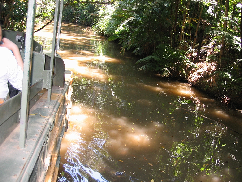 192 Rainforestation.jpg